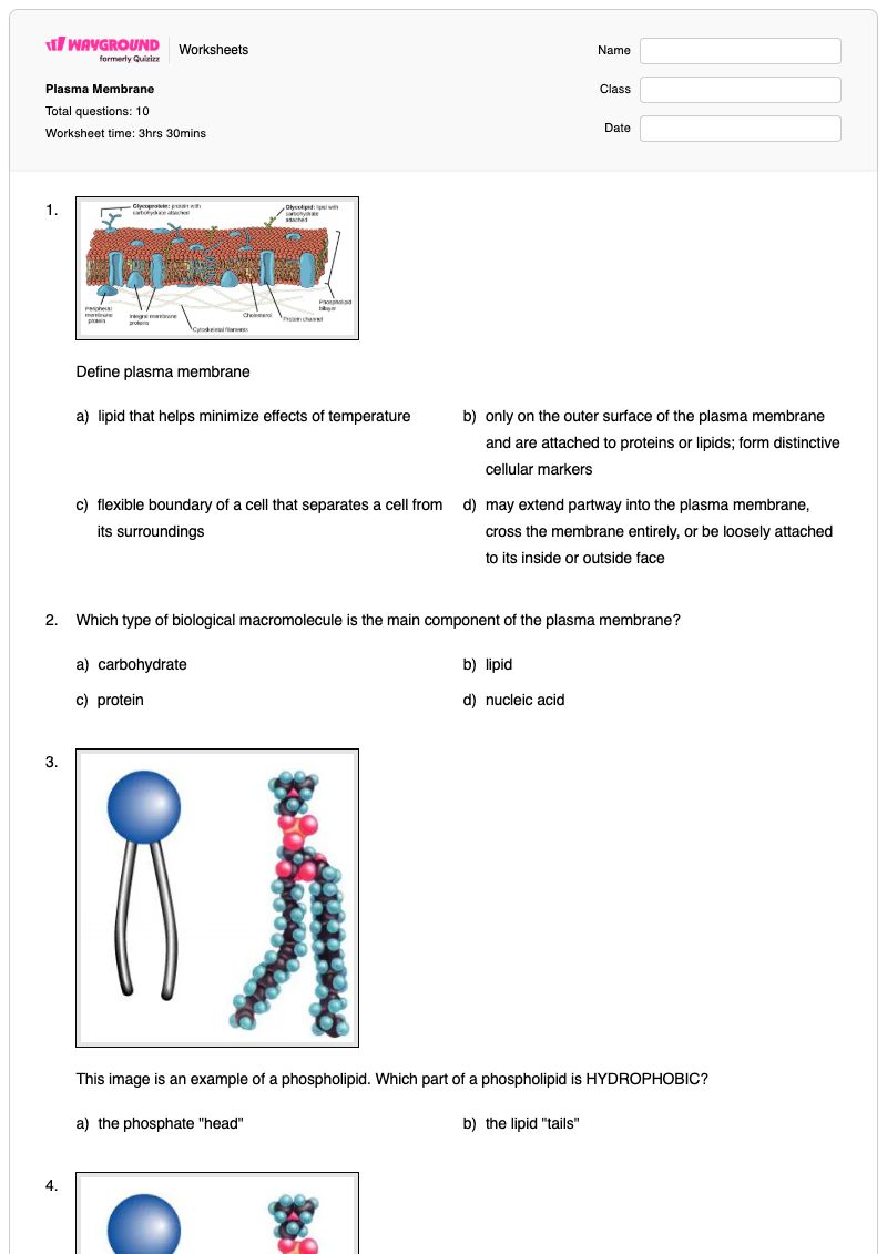 Plasma Membrane - พิมพ์ได้ โครงสร้างและหน้าที่ของเยื่อหุ้มเซลล์ เวิร์กชีท - Wayground