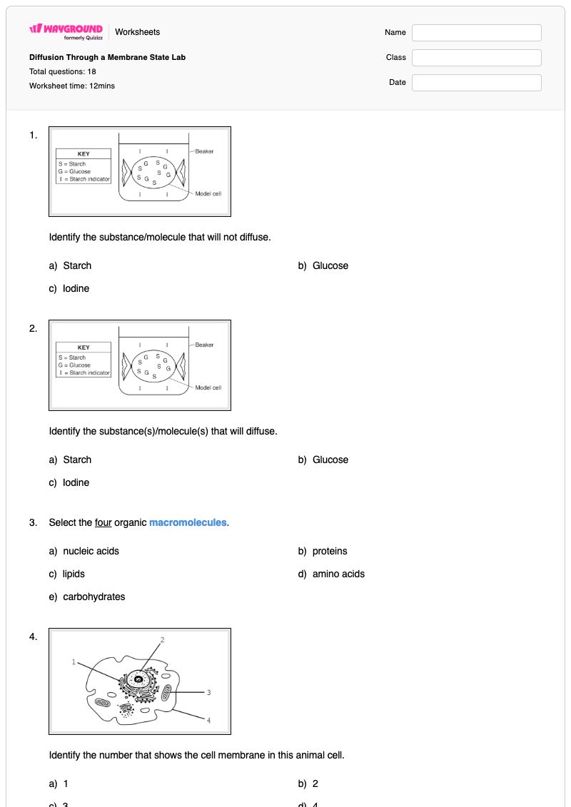 Diffusion Through a Membrane State Lab - Printable Membranes-and-transport Worksheets Class 9 - Wayground