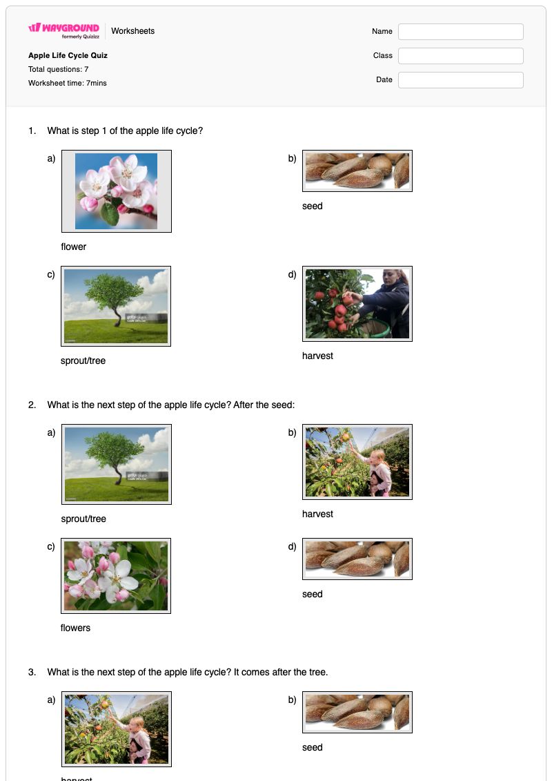 Apple Life Cycle Quiz - พิมพ์ได้ Apple-parts เวิร์กชีท ระดับ 1 - Wayground
