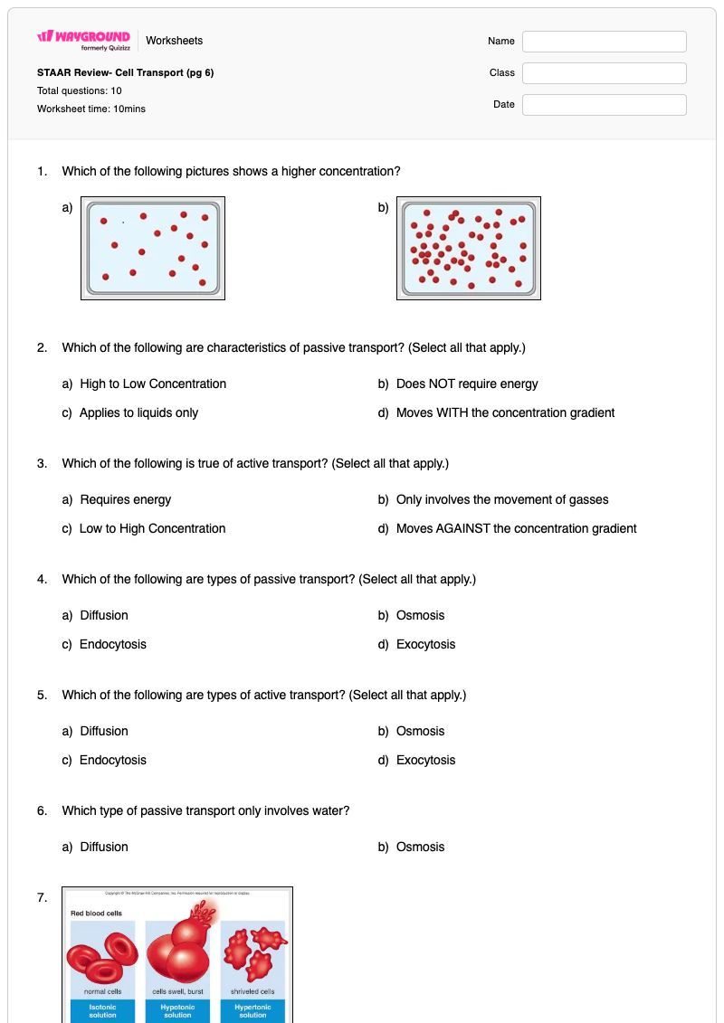 STAAR Review- Cell Transport (pg 6) - Printable Cell-transport Worksheets - Wayground