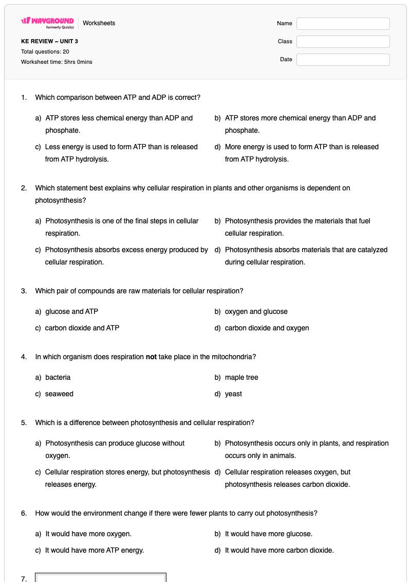 KE REVIEW ~ UNIT 3 - Printable Photosynthesis-and-cellular-respiration Worksheets - Wayground