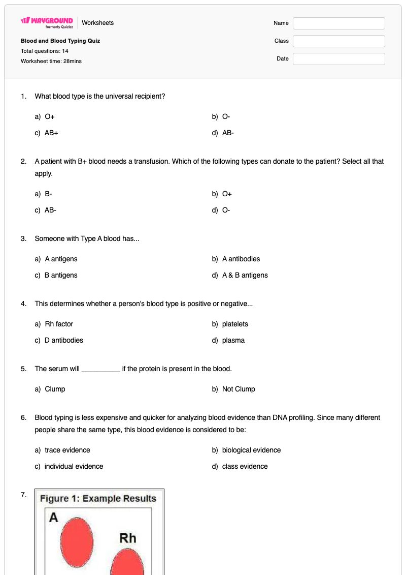 Blood and Blood Typing Quiz - Printable Blood Worksheets Year 11 - Wayground