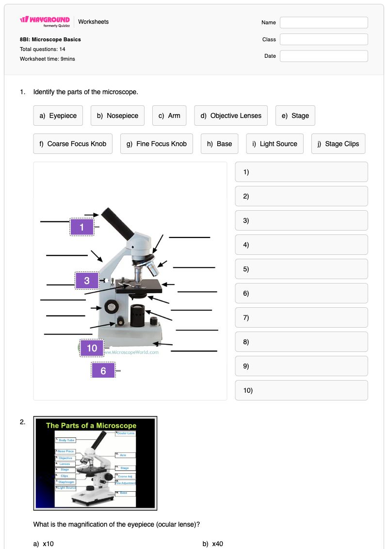 8BI: Microscope Basics - พิมพ์ได้ Microscope-observation เวิร์กชีท ระดับ 8 - Wayground
