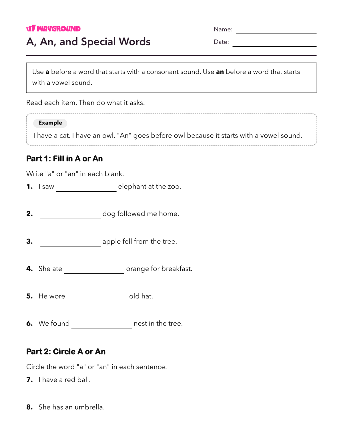 A, An, and Special Words - Imprimible Adjetivos Hojas-de-trabajo Grado 1 - Wayground