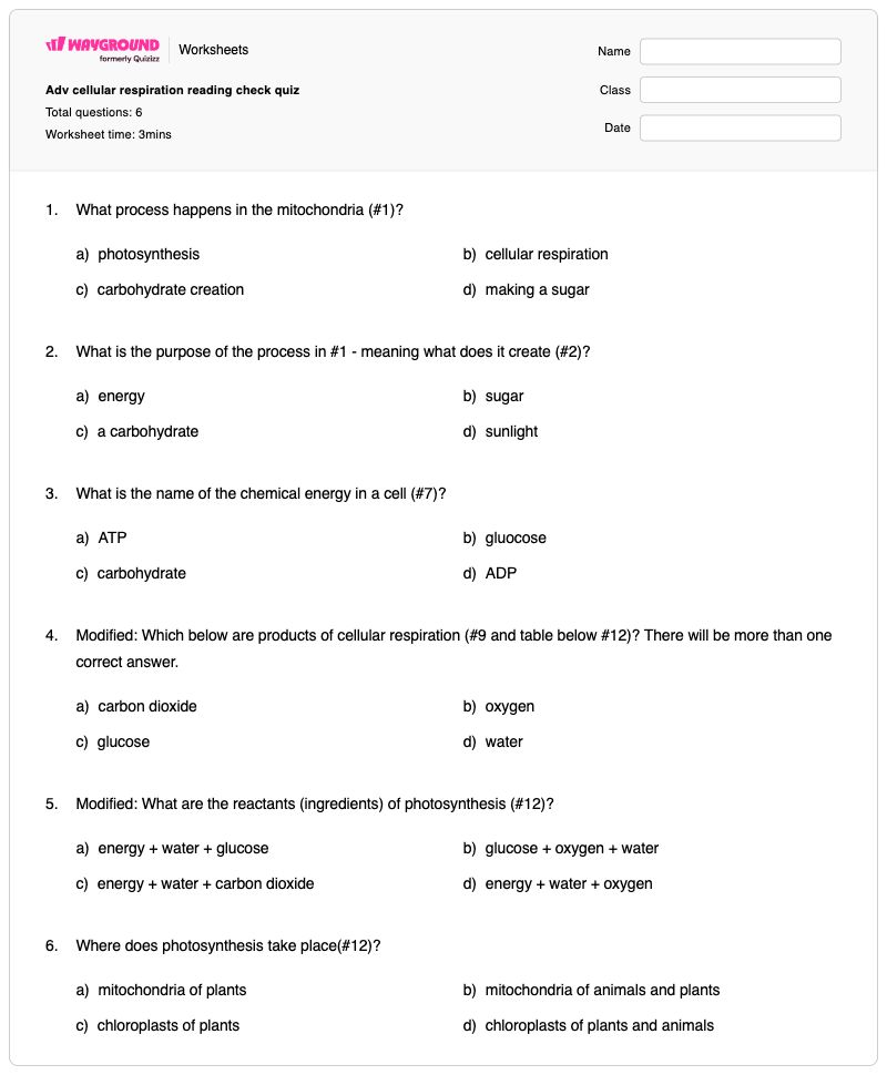 Adv cellular respiration reading check quiz - พิมพ์ได้ การสังเคราะห์แสงและการหายใจระดับเซลล์ เวิร์กชีท - Wayground