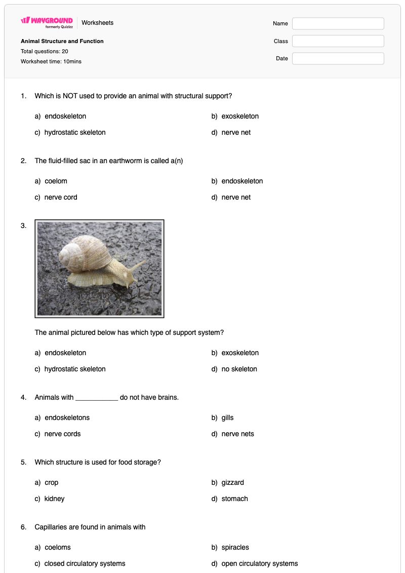 Animal Structure and Function - พิมพ์ได้ โครงสร้างและหน้าที่ของเยื่อหุ้มเซลล์ เวิร์กชีท - Wayground