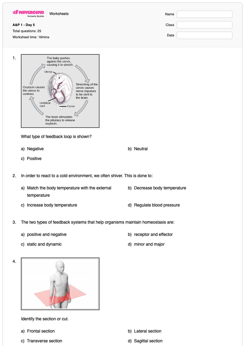 A&P 1 - Day 5  - พิมพ์ได้ Chicken-anatomy เวิร์กชีท ระดับ 12 - Wayground