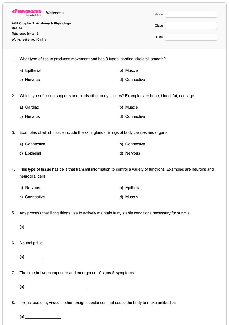 A&P Chapter 2: Anatomy & Physiology Basics - พิมพ์ได้ กายวิภาคศาสตร์และสรีรวิทยา เวิร์กชีท ระดับ 12 - Wayground