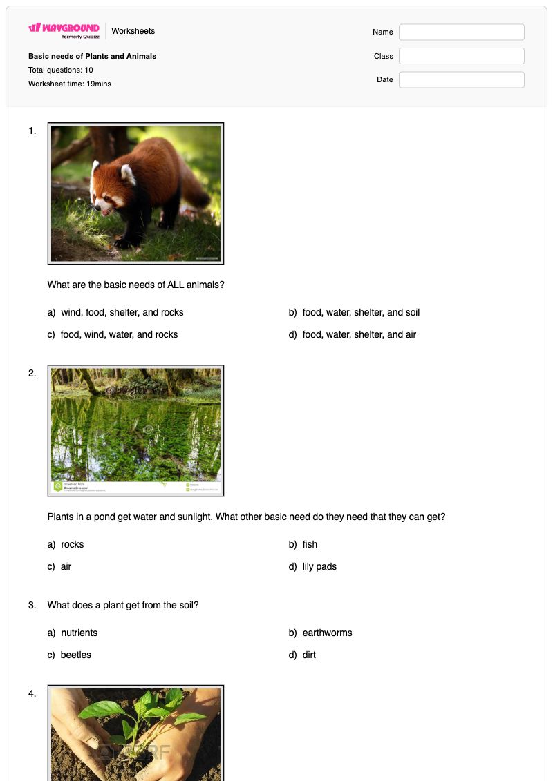 Basic needs of Plants and Animals - พิมพ์ได้ ความต้องการของพืช เวิร์กชีท - Wayground