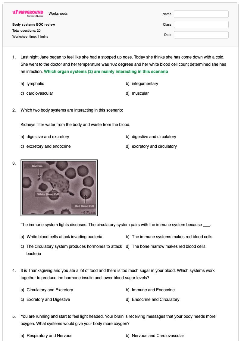 Body systems EOC review  - พิมพ์ได้ ความปลอดภัยของร่างกาย เวิร์กชีท โรงเรียนอนุบาล - Wayground