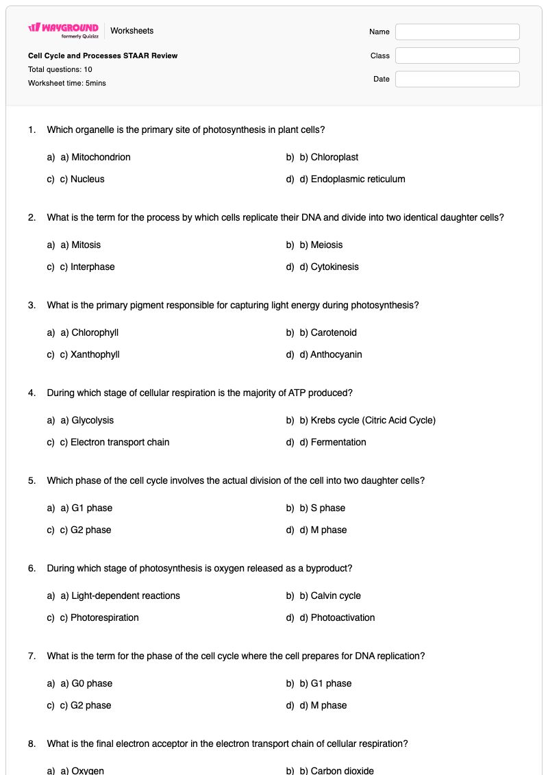 Cell Cycle and Processes STAAR Review - พิมพ์ได้ การสังเคราะห์แสงและการหายใจระดับเซลล์ เวิร์กชีท - Wayground