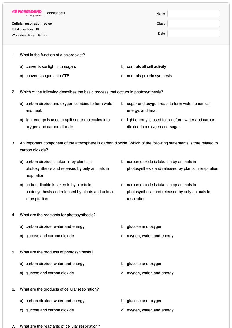 Cellular respiration review - พิมพ์ได้ การสังเคราะห์แสงและการหายใจระดับเซลล์ เวิร์กชีท - Wayground