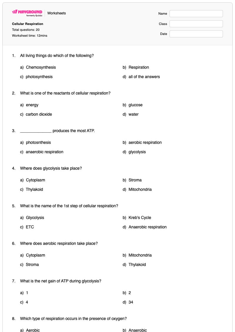 Cellular Respiration - พิมพ์ได้ การสังเคราะห์แสงและการหายใจระดับเซลล์ เวิร์กชีท - Wayground