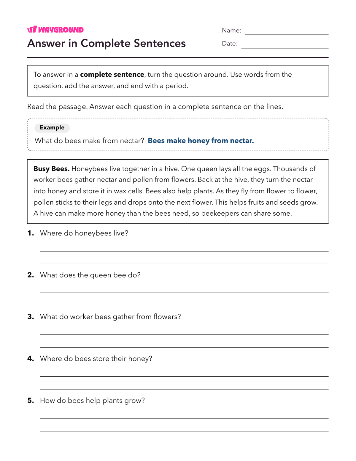 Answer in Complete Sentences - Printable Complete-sentences Worksheets Grade 5 - Wayground
