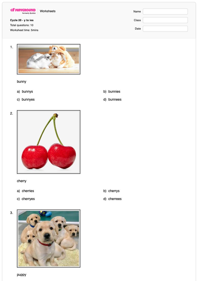 Cycle 20 - y to ies - Printable Change-y-to-i-rule Worksheets Class 2 - Wayground