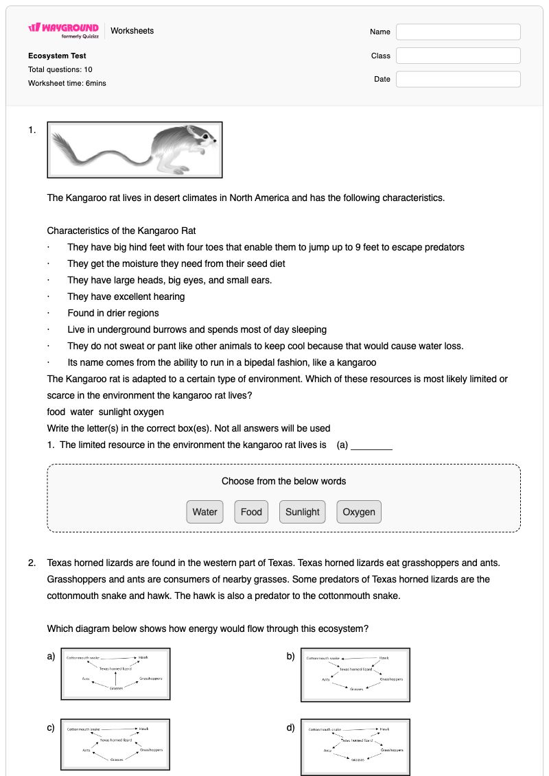 Ecosystem Test - พิมพ์ได้ Ecosystem-services เวิร์กชีท ระดับ 8 - Wayground