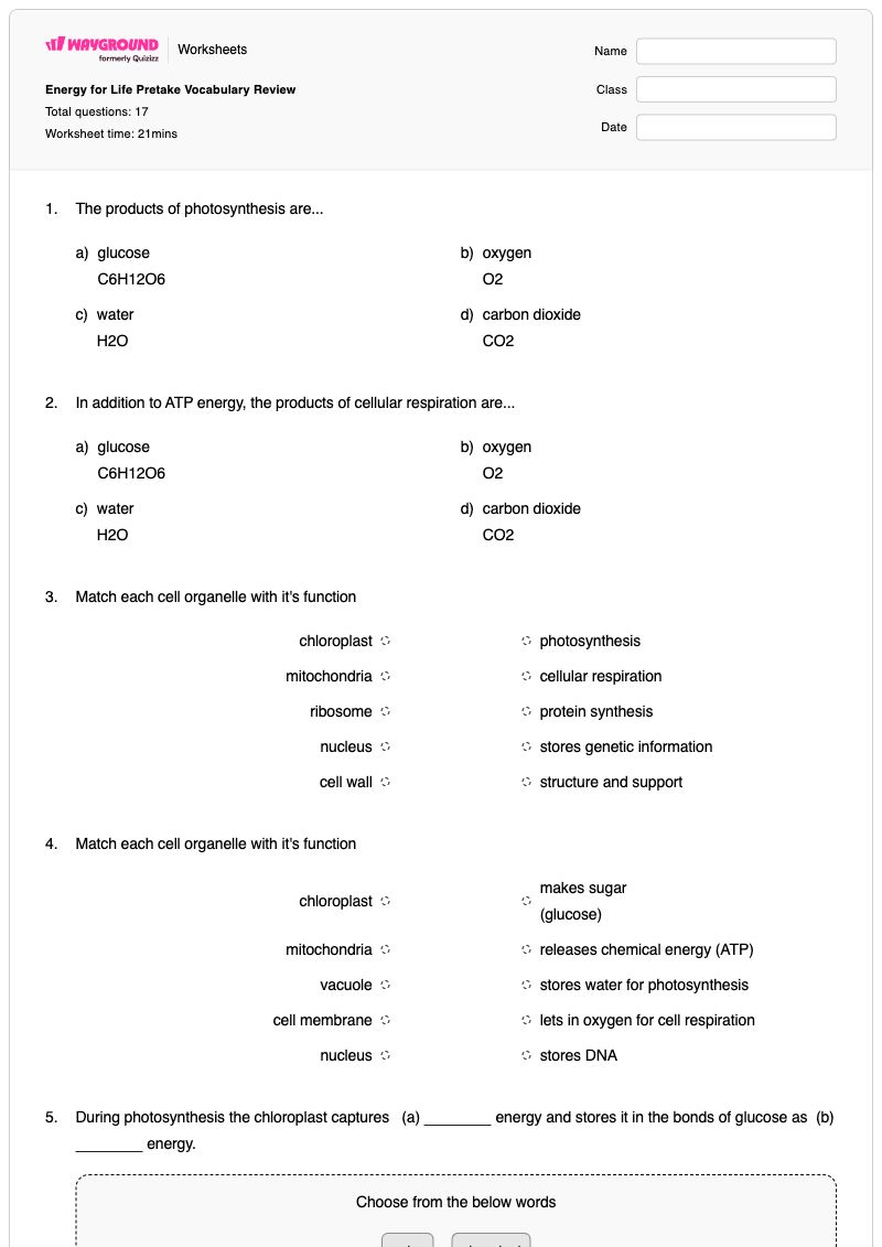 Energy for Life Pretake Vocabulary Review - พิมพ์ได้ Factors-affecting-photosynthesis เวิร์กชีท ระดับ 9 - Wayground