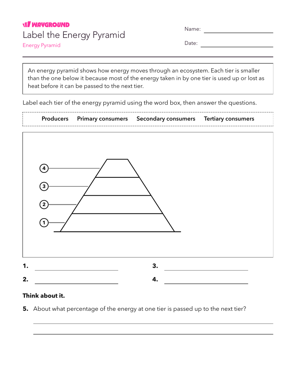 Label the Energy Pyramid - Có thể in Năng-lượng Phiếu-bài-tập Lớp 7 - Quizizz