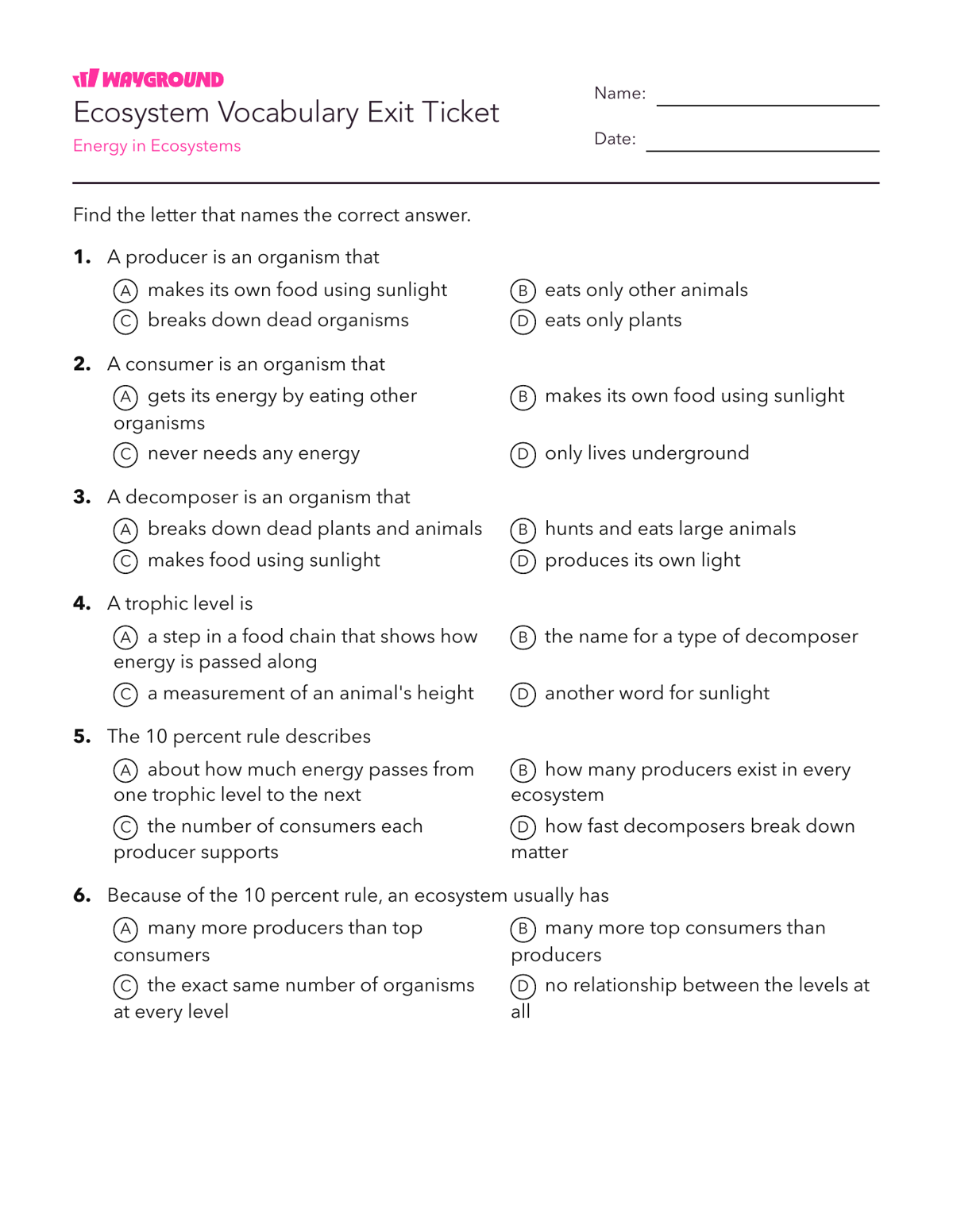 Ecosystem Vocabulary Exit Ticket - Có thể in Năng-lượng Phiếu-bài-tập Lớp 7 - Quizizz