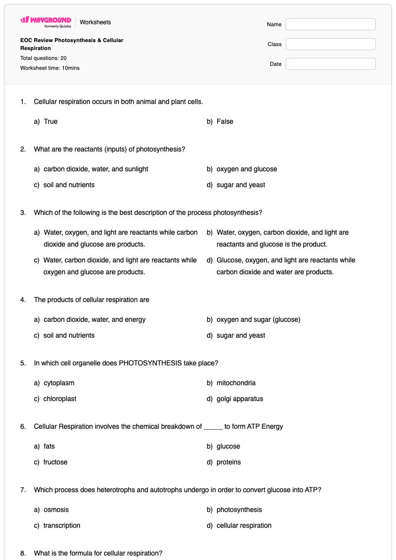 EOC Review Photosynthesis & Cellular Respiration - พิมพ์ได้ การสังเคราะห์แสงและการหายใจระดับเซลล์ เวิร์กชีท - Wayground