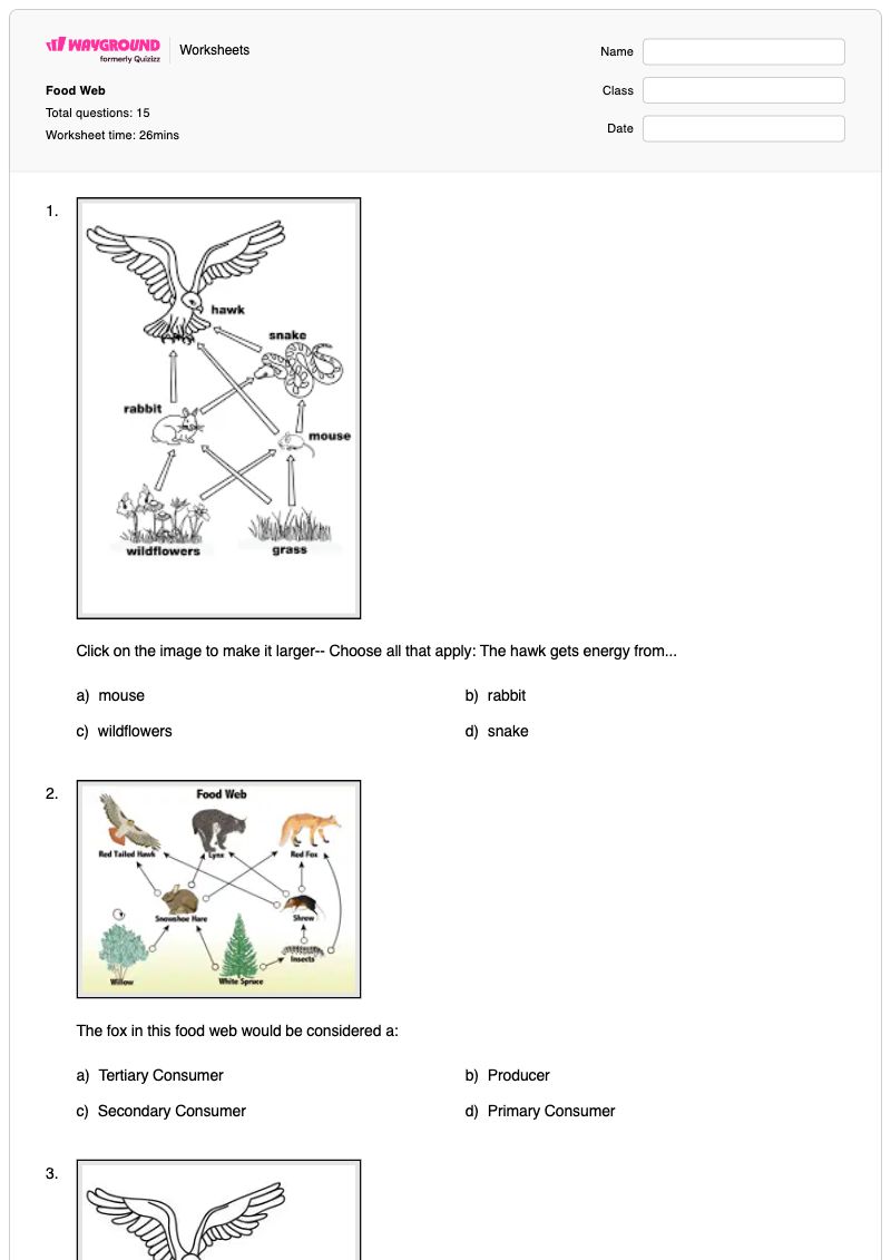 Food Web - พิมพ์ได้ Omnivores เวิร์กชีท ระดับ 5 - Wayground