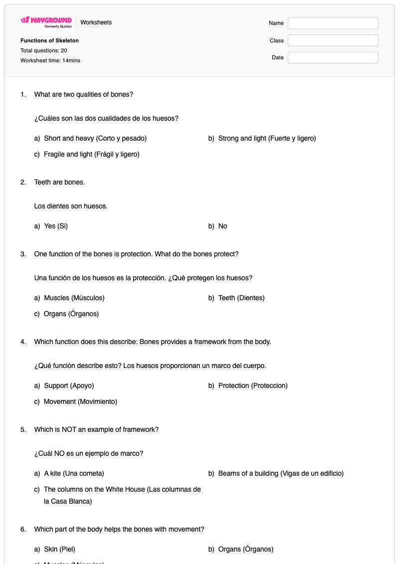 Functions of Skeleton - Imprimible Educación-física Hojas-de-trabajo Grado 7 - Wayground