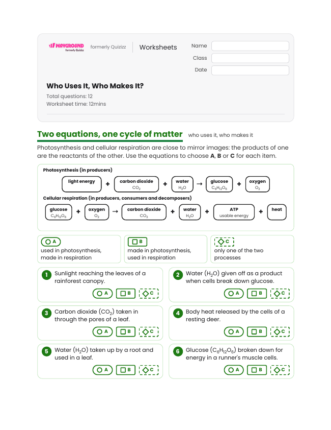Who Uses It, Who Makes It? - Printable Energy-flow-in-ecosystems Worksheets Class 9 - Wayground
