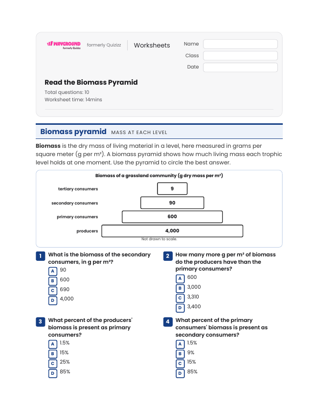 Read the Biomass Pyramid - Printable Energy-flow-in-ecosystems Worksheets Class 9 - Wayground