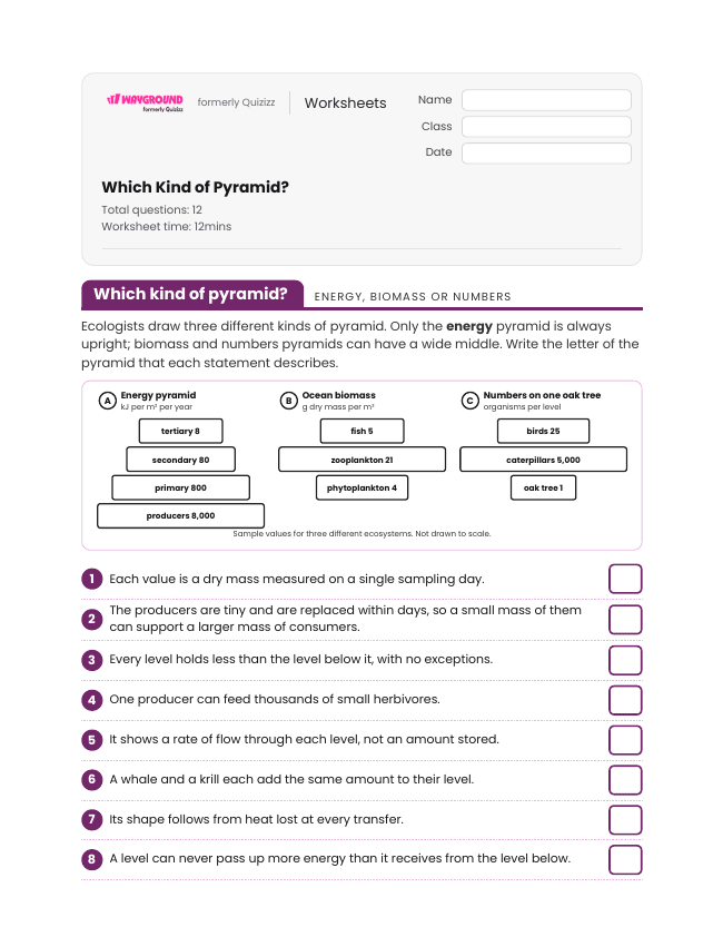 Which Kind of Pyramid? - Printable Energy-flow-in-ecosystems Worksheets Class 9 - Wayground