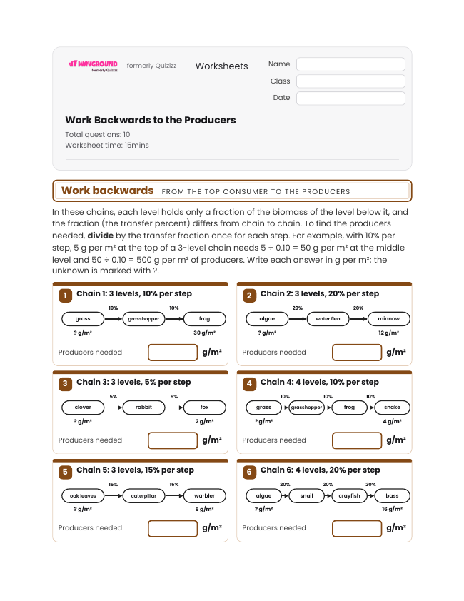 Work Backwards to the Producers - Printable Energy-flow-in-ecosystems Worksheets Class 9 - Wayground