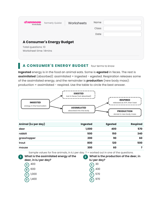 A Consumer's Energy Budget - Printable Energy-flow-in-ecosystems Worksheets Class 9 - Wayground