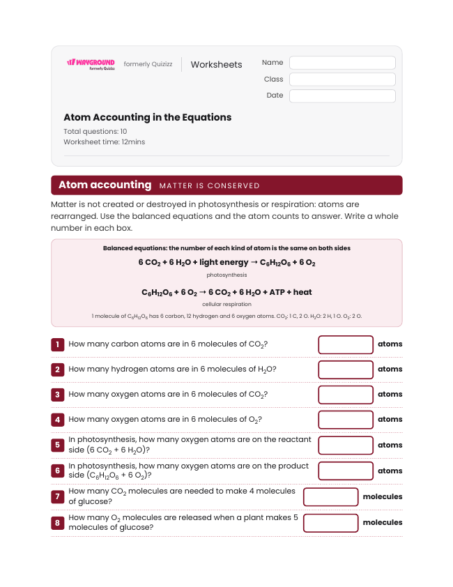 Atom Accounting in the Equations - Printable Energy-flow-in-ecosystems Worksheets Class 9 - Wayground