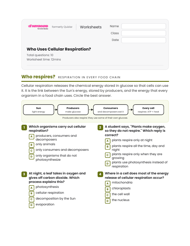 Who Uses Cellular Respiration? - Printable Energy-flow-in-ecosystems Worksheets Class 9 - Wayground