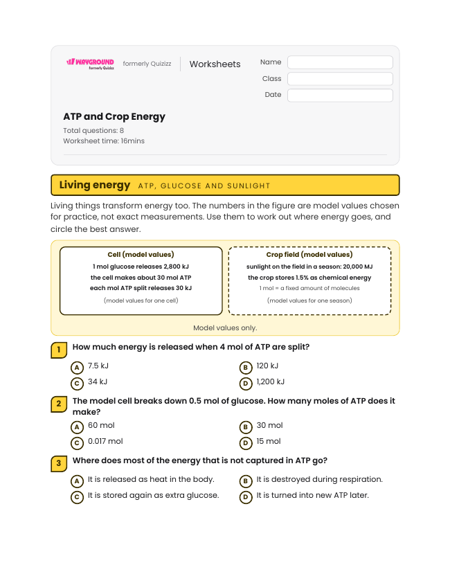 ATP and Crop Energy - Printable Energy-transformation Worksheets Grade 10 - Wayground