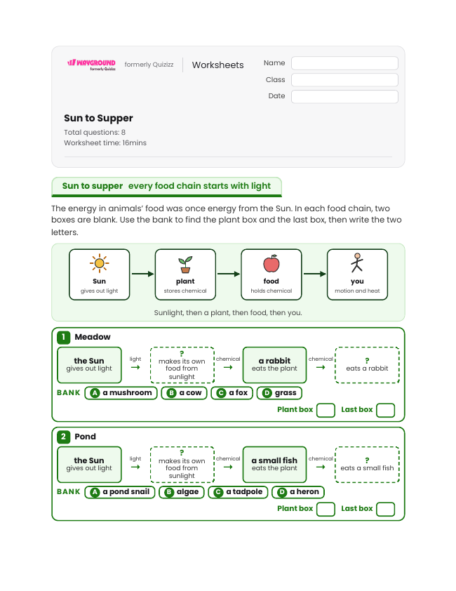 Sun to Supper - Imprimible Transformación-energética Hojas-de-trabajo Grado 5 - Wayground
