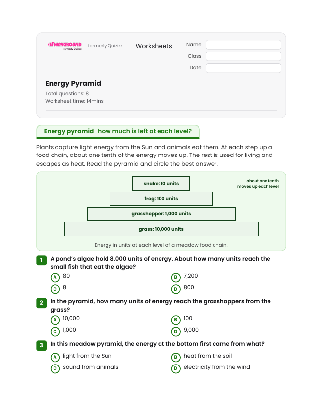 Energy Pyramid - Printable Energy-transformation Worksheets Grade 6 - Wayground