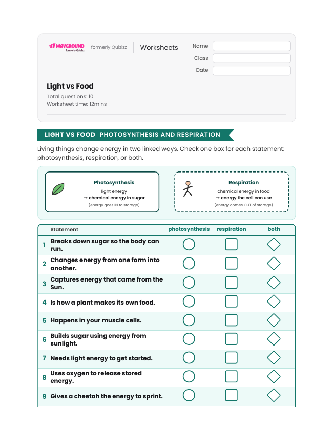 Light vs Food - Printable Energy-transformation Worksheets Grade 6 - Wayground