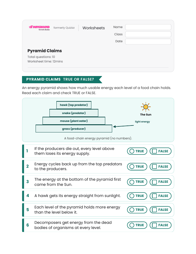 Pyramid Claims - Printable Energy-transformation Worksheets Grade 7 - Wayground