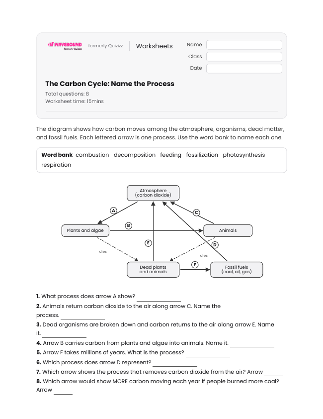 The Carbon Cycle: Name the Process - Imprimible Ciencias-ambientales Hojas-de-trabajo - Wayground