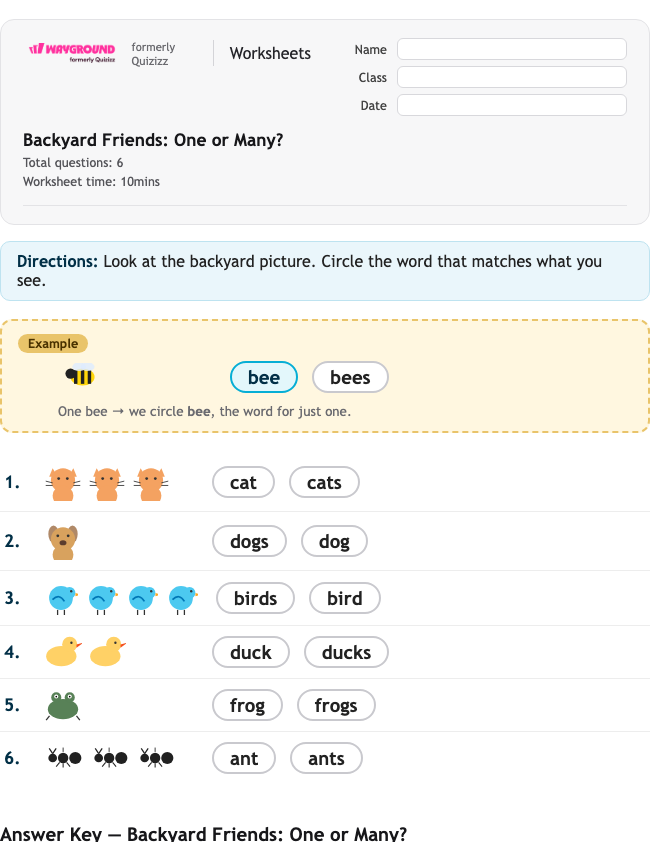 Backyard Friends: One or Many? - พิมพ์ได้ ไวยากรณ์ เวิร์กชีท โรงเรียนอนุบาล - Wayground