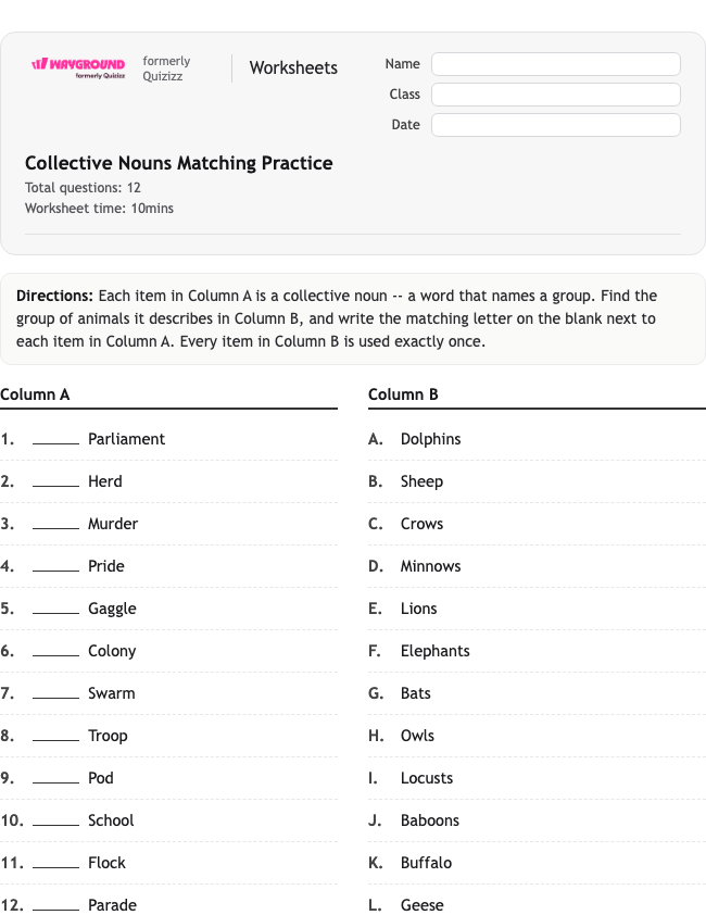 Collective Nouns Matching Practice - Printable Nouns Worksheets Class 6 - Wayground