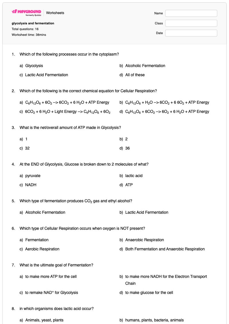 glycolysis and fermentation - พิมพ์ได้ การสังเคราะห์แสงและการหายใจระดับเซลล์ เวิร์กชีท - Wayground