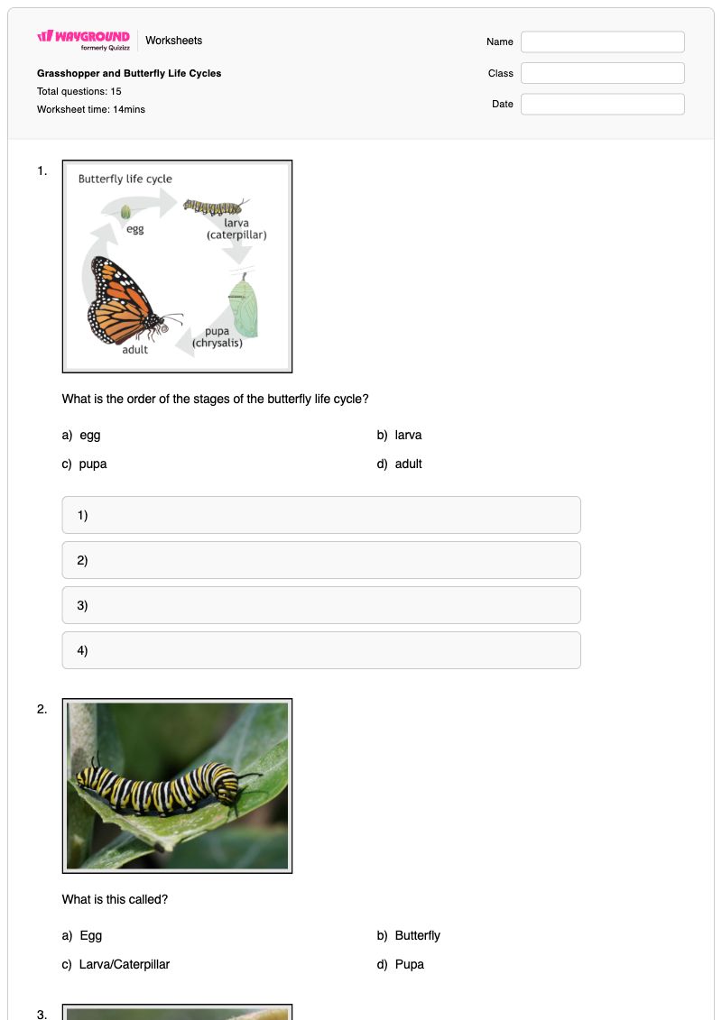 Grasshopper and Butterfly Life Cycles - พิมพ์ได้ การเปลี่ยนแปลงรูปร่างของผีเสื้อ เวิร์กชีท ระดับ 2 - Wayground