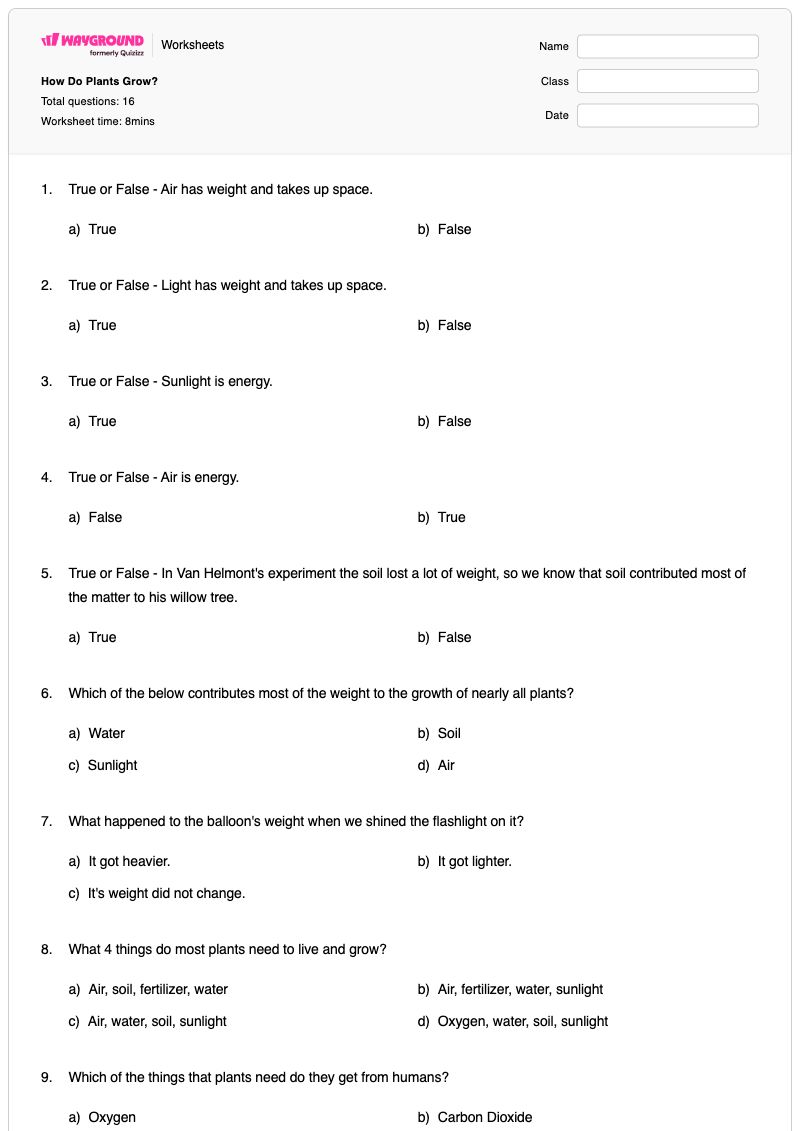How Do Plants Grow? - พิมพ์ได้ ความต้องการของพืช เวิร์กชีท - Wayground