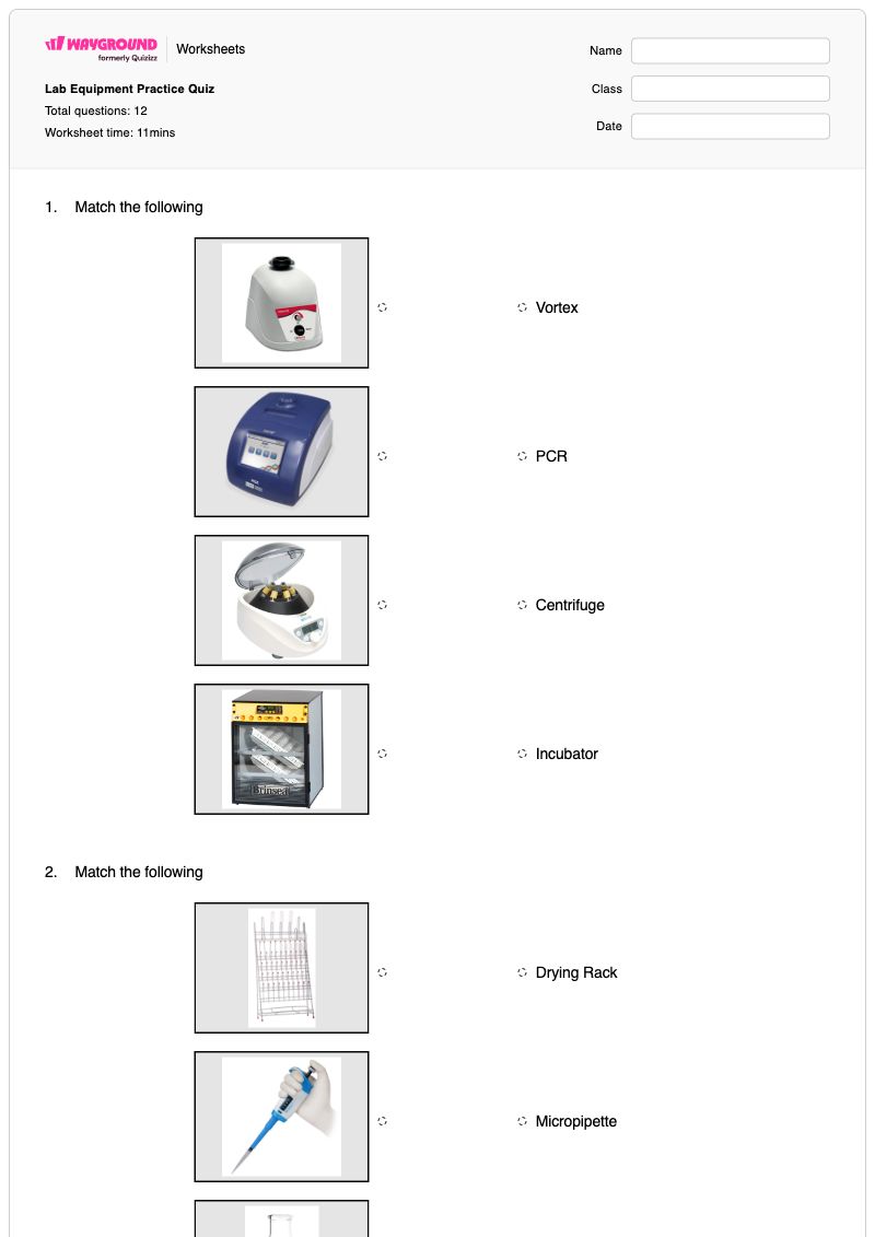 Lab Equipment Practice Quiz - พิมพ์ได้ อุปกรณ์ห้องปฏิบัติการ เวิร์กชีท - Wayground