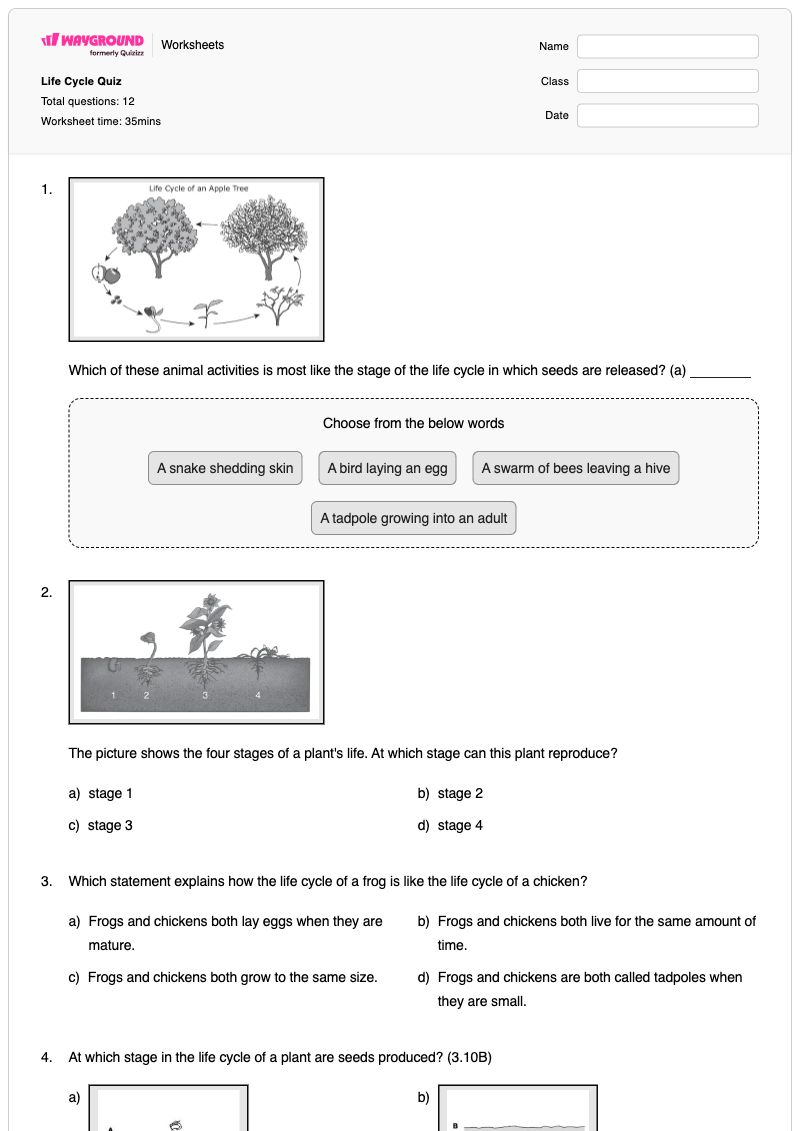 Life Cycle Quiz - พิมพ์ได้ สัตว์และลูกของพวกมัน เวิร์กชีท ระดับ 5 - Wayground