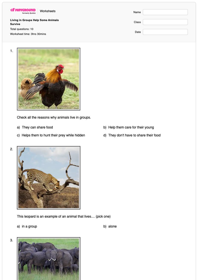 Living in Groups Help Some Animals Survive - พิมพ์ได้ Animal-anatomy เวิร์กชีท ระดับ 3 - Wayground