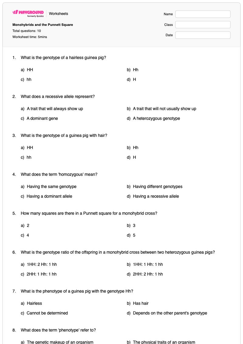 Monohybrids and the Punnett Square - พิมพ์ได้ การผสมแบบโมโนไฮบริด เวิร์กชีท ระดับ 12 - Wayground