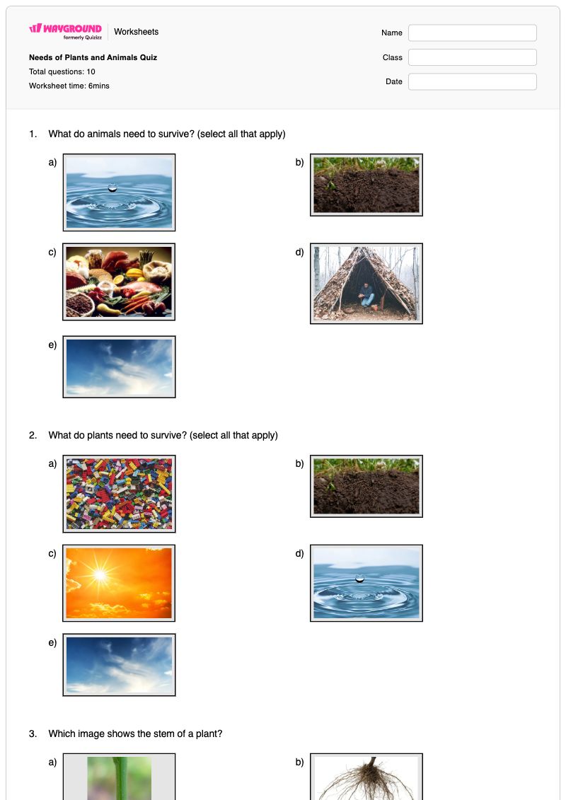 Needs of Plants and Animals Quiz - พิมพ์ได้ ความต้องการของพืช เวิร์กชีท - Wayground