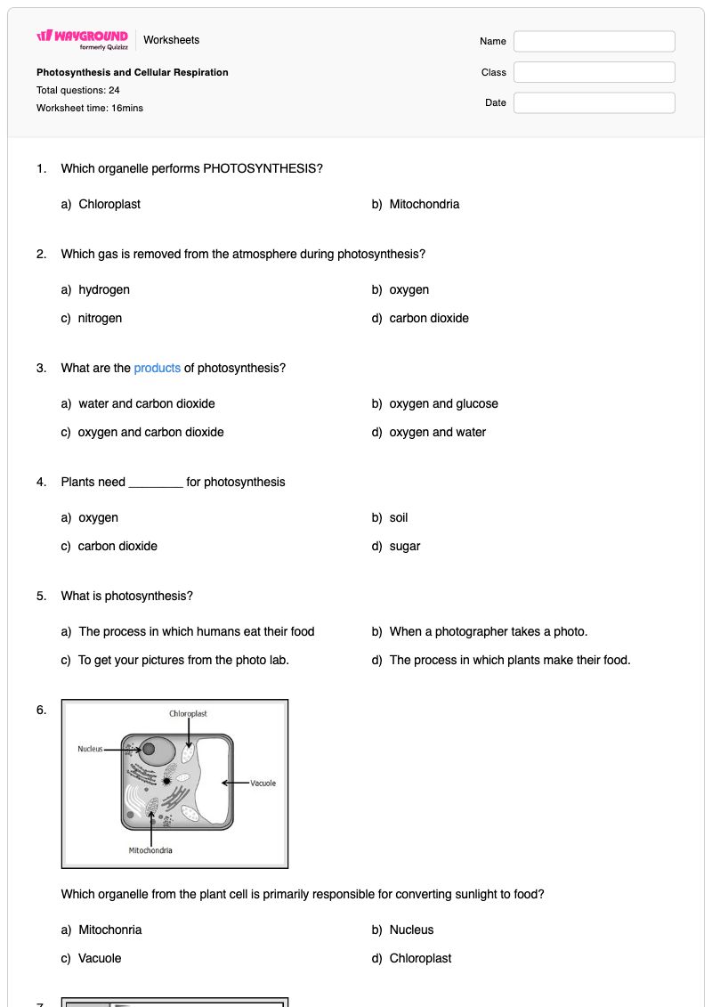 Photosynthesis and Cellular Respiration - พิมพ์ได้ การสังเคราะห์แสงและการหายใจระดับเซลล์ เวิร์กชีท - Wayground